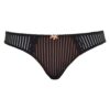 Strings Curvy Kate SG2102 BLK COPPER