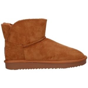 Μποτίνια Xti 44436 Mujer Camel