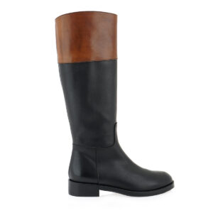 ΜΠΟΤΑ ΙΠΠΑΣΙΑΣ σχέδιο: P249S9092